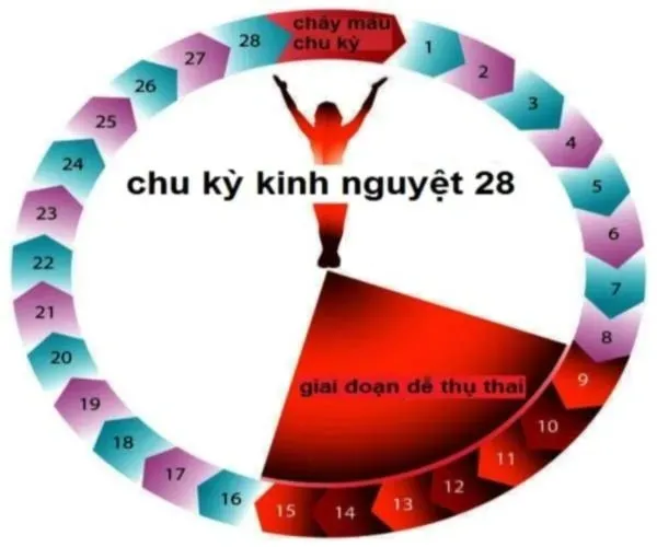 10 điều nên biết về rụng trứng