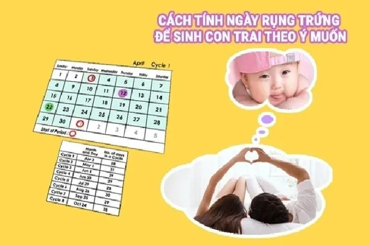 3 cách tính ngày rụng trứng để mang thai con trai chính xác nhất