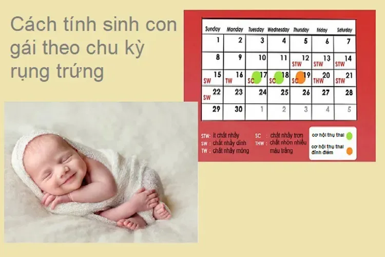 4 cách tính sinh con gái thành công – áp dụng ngay nếu bạn đang mong một tiểu công chúa