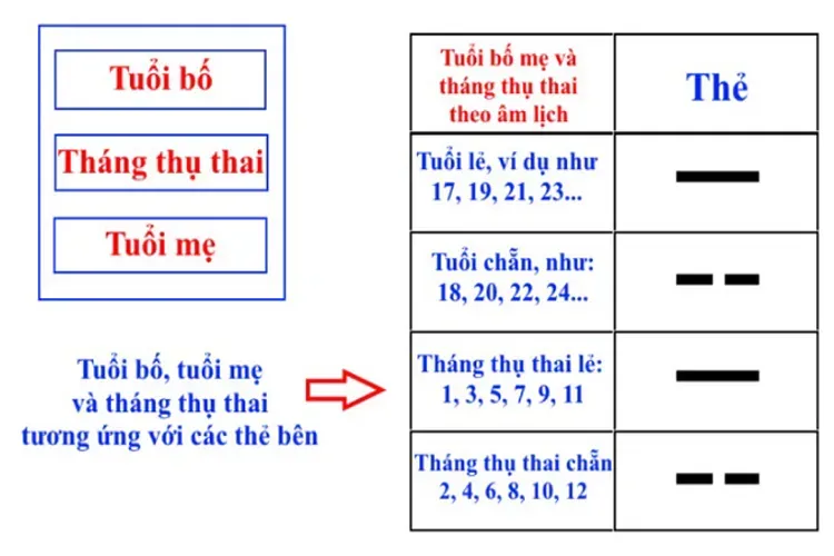 4 cách tính sinh con trai hay gái theo tuổi mẹ chính xác nhất dành cho các cặp đôi