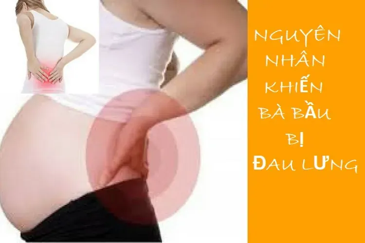 Bà bầu bị đau lưng và những băn khoăn liên quan rất phổ biến của chị em