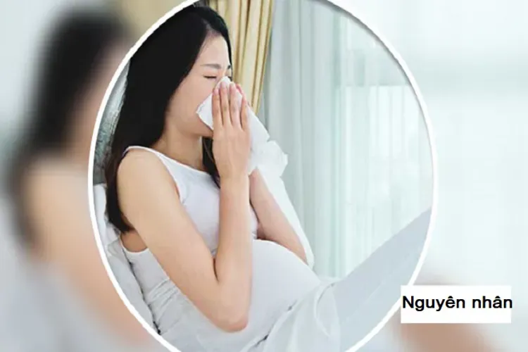 Bà bầu bị ho và những điều bạn cần biết để đảm bảo sức khỏe thai kỳ