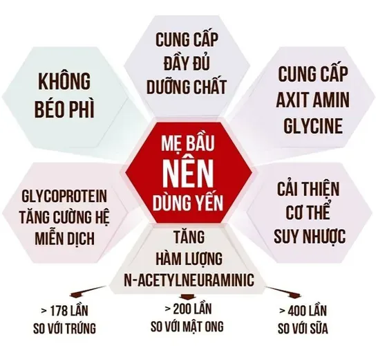 Bà bầu có nên ăn yến sào và ăn như thế nào để dưỡng thai thật tốt?