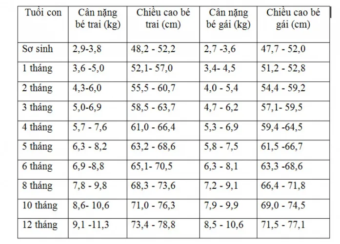 Bảng cân nặng chiều cao của trẻ và các lưu ý bố mẹ nên biết