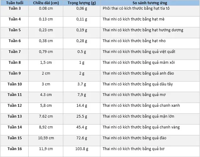 Bảng chỉ số thai nhi chi tiết theo từng tuần tuổi trong thai kỳ