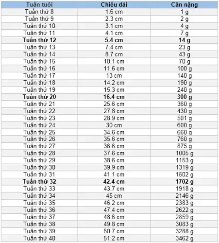 Bảng tiêu chuẩn cân nặng của thai nhi theo tuần mẹ nên biết
