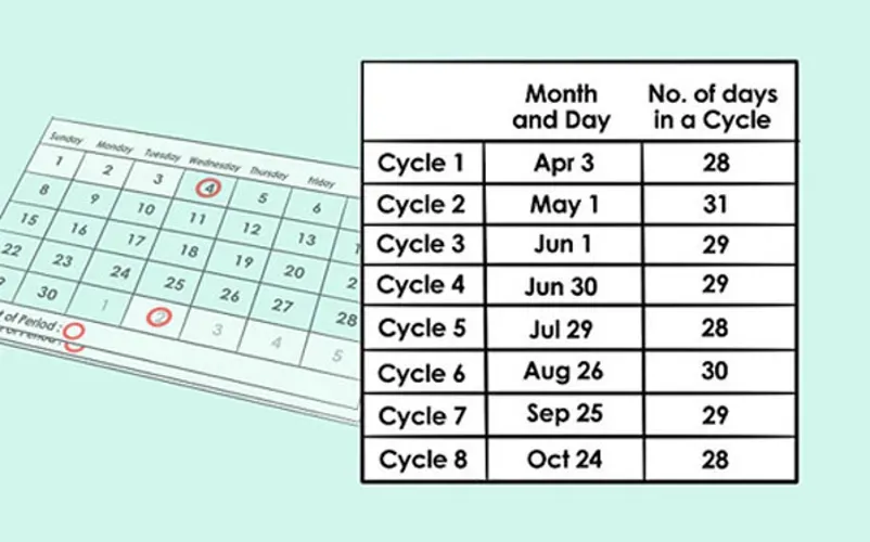 Bảng tính chu kỳ rụng trứng đơn giản nhất cho chị em tham khảo