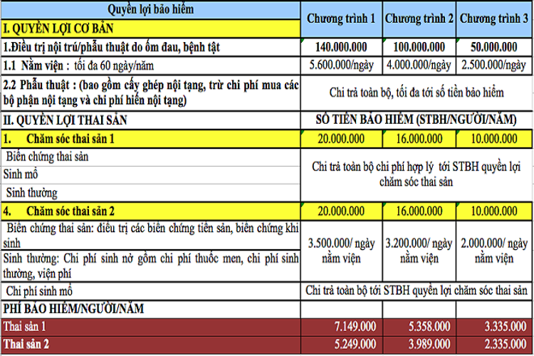 Bảo hiểm thai sản – nhu cầu tất yếu của các cặp vợ chồng dự định có con