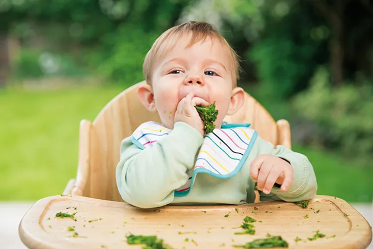 Bé 7 tháng tuổi và những lưu ý quan trọng giúp mẹ chăm sóc bé tốt hơn