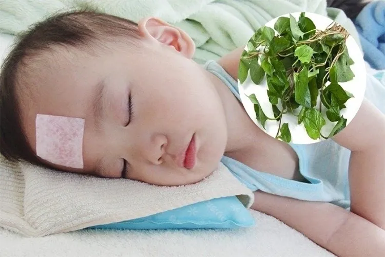 Bé bị sốt và cách hạ sốt cho bé nhanh chóng