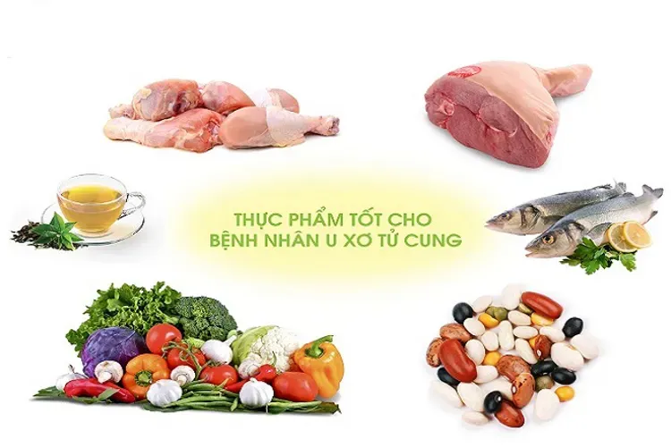 Bệnh nhân xơ tử cung là gì và những điều chị em phụ nữ cần biết