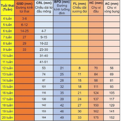 Các chỉ số siêu âm thai – mẹ cần nắm rõ để hiểu hơn về tình trạng của bé