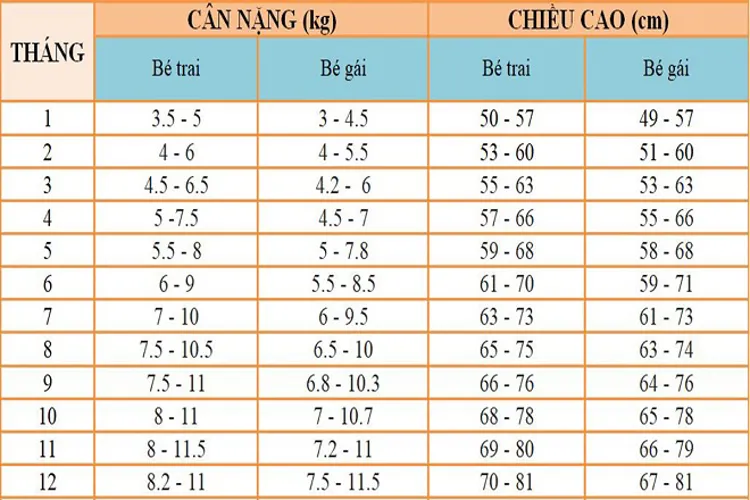 Các giai đoạn phát triển của trẻ sơ sinh bố mẹ cần biết để chăm sóc bé chu đáo