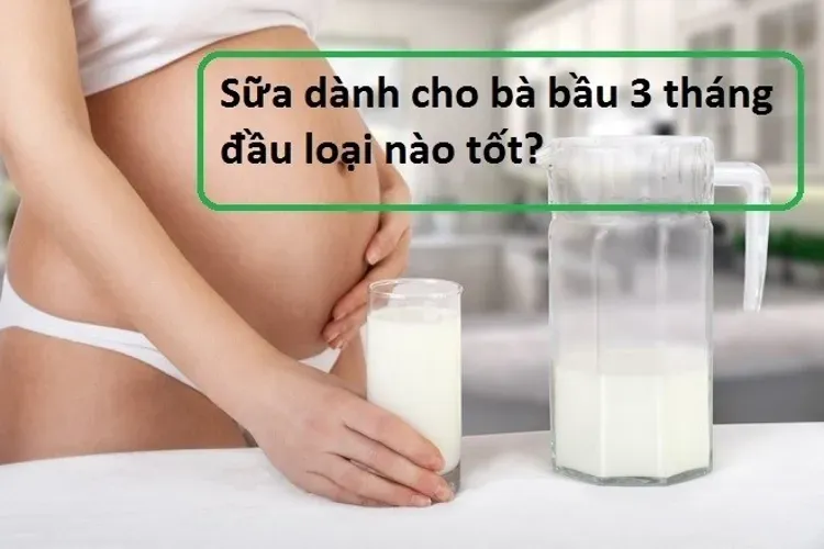 Các loại sữa dành cho bà bầu 3 tháng đầu mẹ nên biết