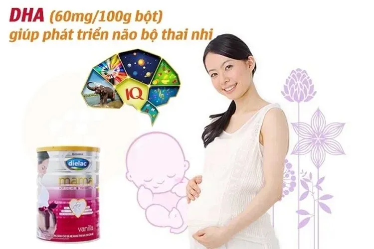 Các loại sữa dielac cho bà bầu được ưa chuộng nhất hiện nay