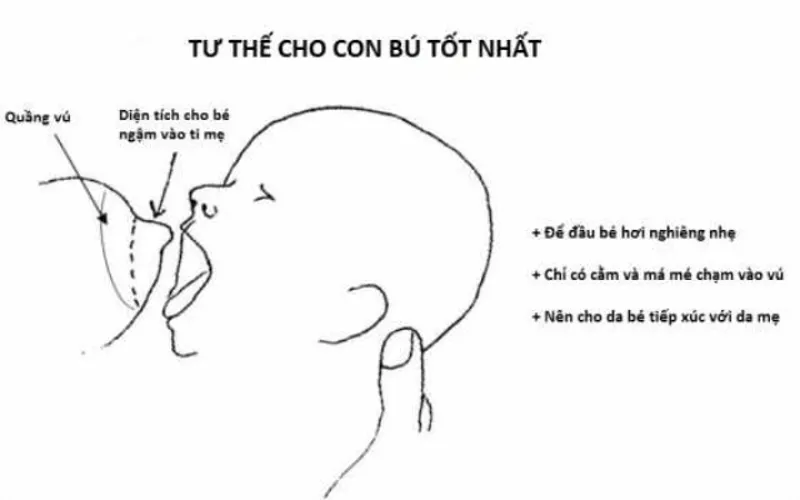 Cách cho bé bú cách giúp bé bú mẹ được nhiều hơn