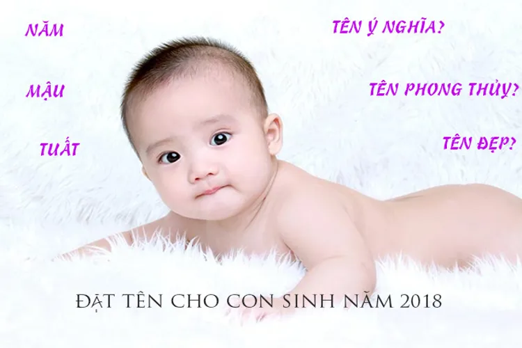 Cách đặt tên cho con trai, con gái sinh năm 2018 thật ý nghĩa và theo phong thủy