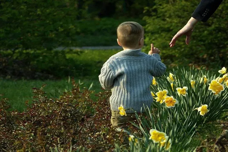 Cách dạy trẻ 3 tuổi biết nghe lời hiệu quả mà không cần la hét đòn roi