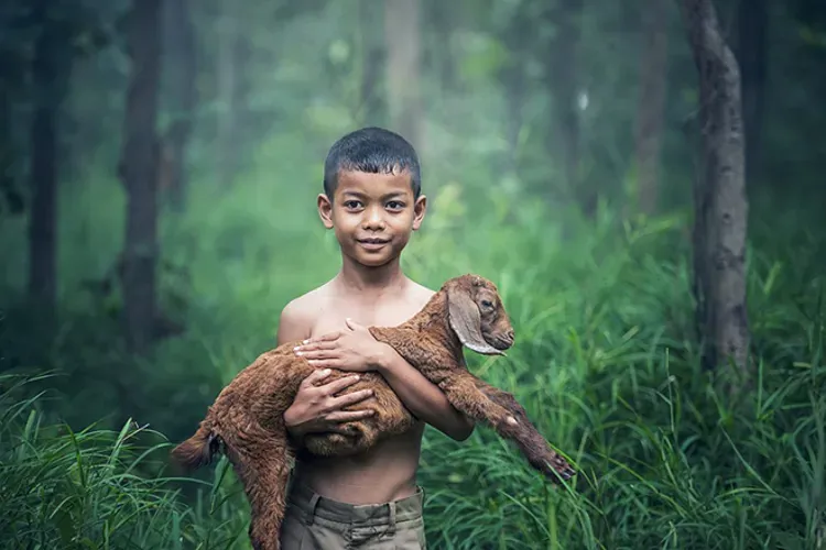 Cách dạy trẻ biết yêu thương cha mẹ hãy áp dụng ngay