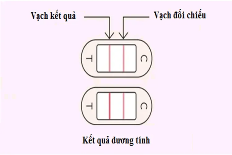 Cách đọc que thử rụng trứng như thế nào, bạn có tự tin là đã nắm rõ?