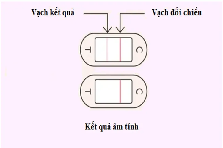 Cách đọc que thử rụng trứng như thế nào, bạn có tự tin là đã nắm rõ?