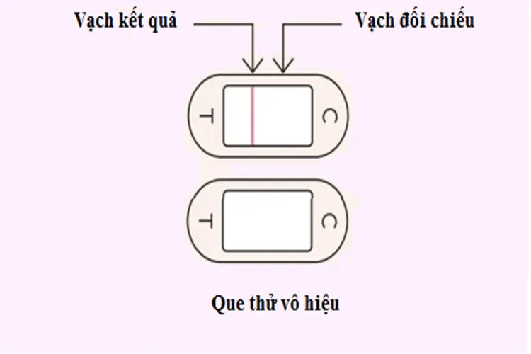 Cách đọc que thử rụng trứng như thế nào, bạn có tự tin là đã nắm rõ?