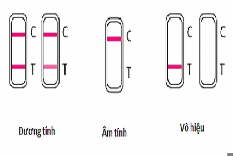 Cách dùng que thử rụng trứng đúng và cho kết quả chính xác