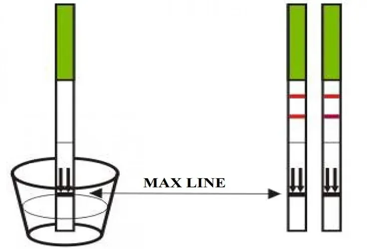 Cách dùng que thử rụng trứng và các vấn đề liên quan bạn nên biết