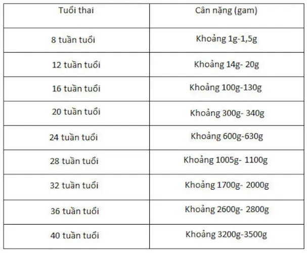 Cách giúp thai nhi tăng cân đơn giản nhưng khoa học mẹ bầu nên biết