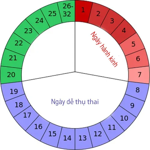 Cách tính chu kỳ kinh nguyệt để có thai dễ dàng