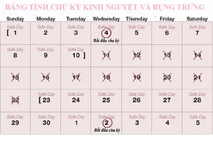 Cách tính chu kỳ kinh nguyệt đơn giản và chuẩn xác nhất cho chị em phụ nữ