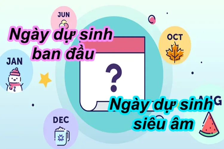 Cách tính ngày dự sinh và một số câu hỏi liên quan thường gặp