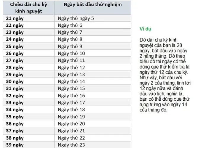 Cách tính ngày rụng trứng bằng que thử chính xác nhất tại nhà