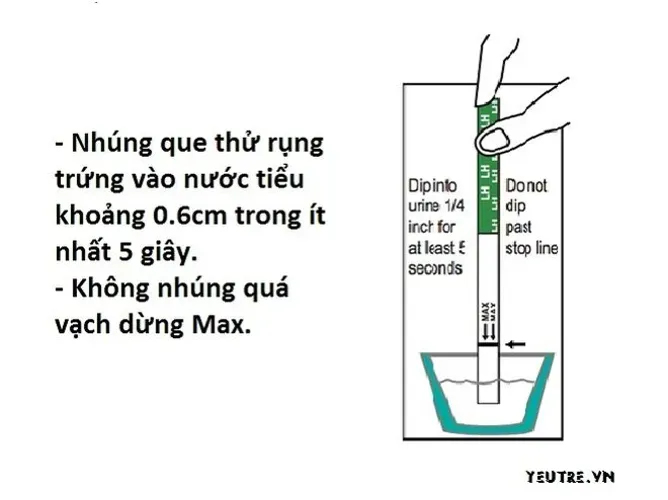 Cách tính ngày rụng trứng bằng que thử chính xác nhất tại nhà