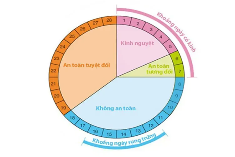 Cách tính ngày rụng trứng để tránh thai và những điều chị em nên biết