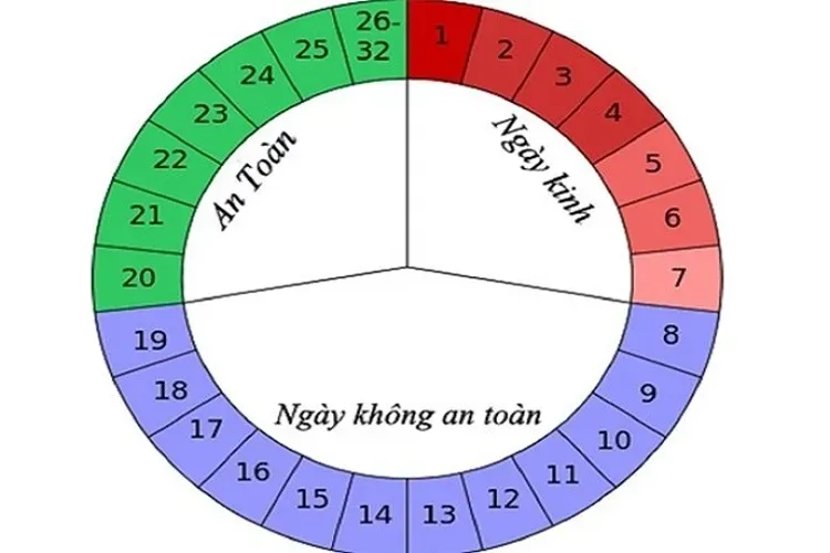 Cách tính ngày rụng trứng khi kinh nguyệt không đều để thụ thai dễ dàng