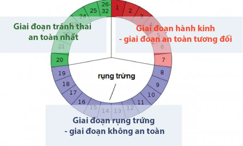 Cách tính vòng kinh chi tiết mọi chị em đều nên biết