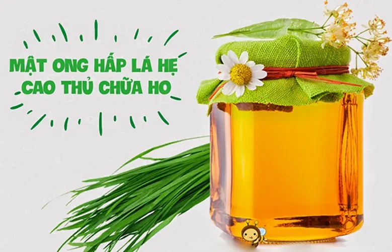 Cách trị ho cho bà bầu an toàn mà hiệu quả tại nhà