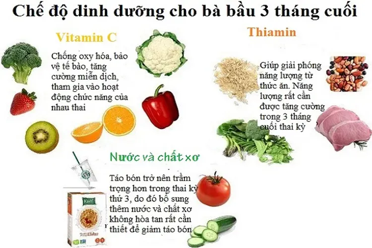 Cẩm nang mẹ bầu với kiến thức cơ bản bao quát nhất để chị em bỏ túi