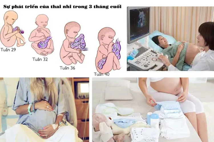 Cẩm nang mẹ bầu với kiến thức cơ bản bao quát nhất để chị em bỏ túi