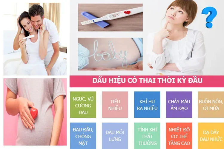 Cẩm nang mẹ bầu với kiến thức cơ bản bao quát nhất để chị em bỏ túi