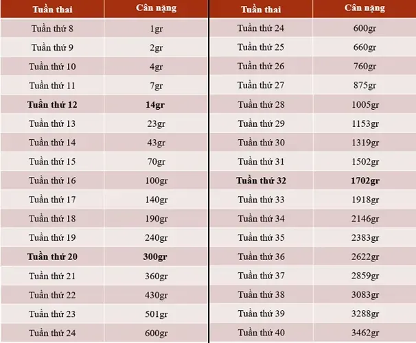 Cân nặng thai nhi và những điều mẹ nên biết