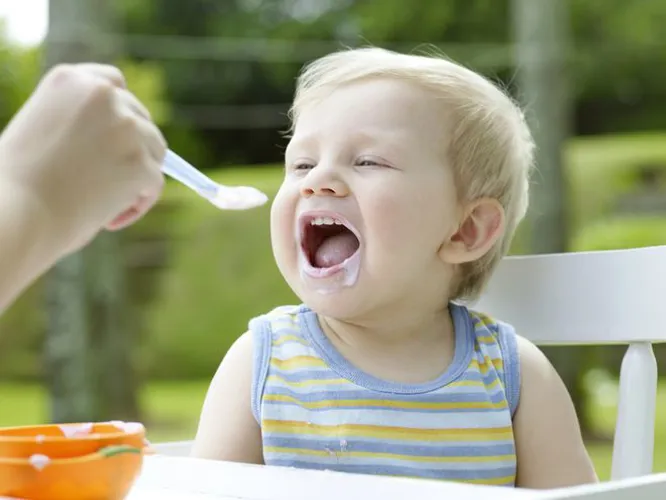 Cháo gà cho bé – mẹ nấu đúng cách để con ăn ngon chóng lớn