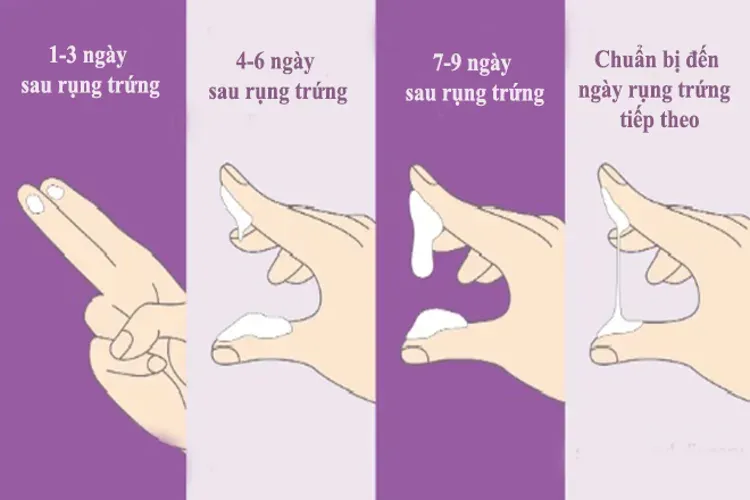 Chất nhầy báo hiệu có thai – bạn đã biết gì về dấu hiệu mang thai sớm này