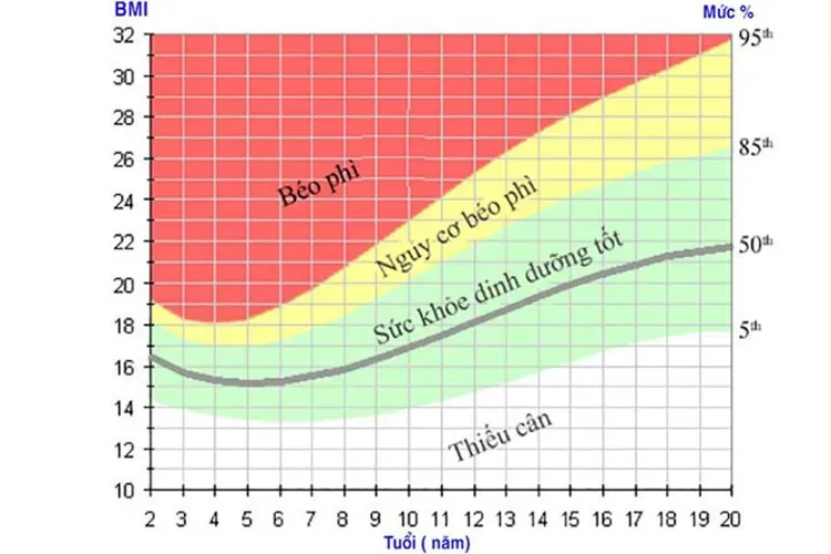 Chỉ số BMI của trẻ em và hướng dẫn cách tính chính xác nhất