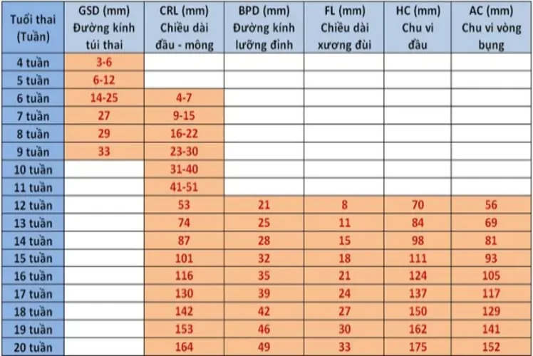 Chỉ số thai nhi theo tuần cho mẹ biết được những gì?