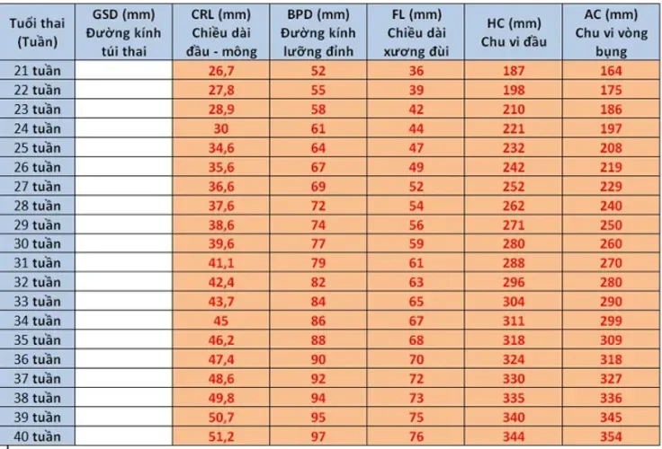 Chỉ số thai nhi theo tuần cho mẹ biết được những gì?