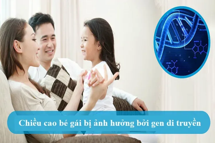 Chiều cao bé gái và 5 yếu tố ảnh hưởng đến sự phát triển của con