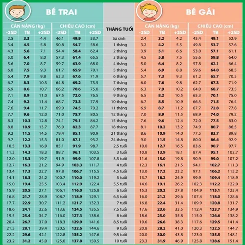 Chiều cao cân nặng chuẩn của trẻ và những việc bố mẹ cần làm để giúp con phát triển tốt