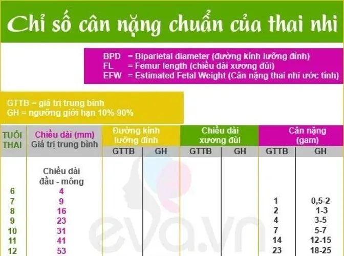 Chiều dài xương đùi thai nhi ngắn có phải con bị down?